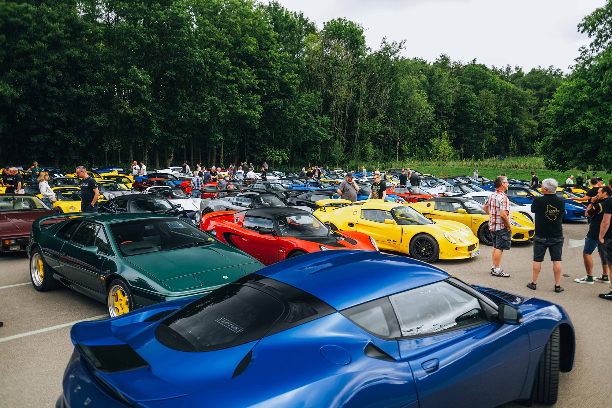Gathering of Lotus cars